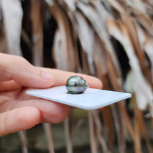 Load image into Gallery viewer, Civa Fiji Loose Saltwater Pearl - FJD$