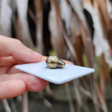 Load image into Gallery viewer, Civa Fiji Loose Saltwater Pearl - FJD$