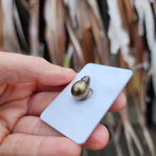 Load image into Gallery viewer, Civa Fiji Loose Saltwater Pearl - FJD$