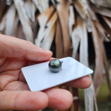 Load image into Gallery viewer, Civa Fiji Loose Saltwater Pearl - FJD$