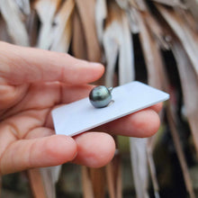 Load image into Gallery viewer, Civa Fiji Loose Saltwater Pearl - FJD$