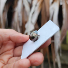 Load image into Gallery viewer, Civa Fiji Loose Saltwater Pearl - FJD$