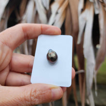 Load image into Gallery viewer, Civa Fiji Loose Saltwater Pearl - FJD$