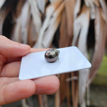 Load image into Gallery viewer, Civa Fiji Loose Saltwater Pearl - FJD$