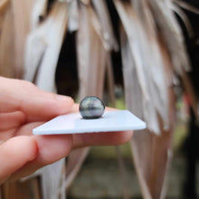 Load image into Gallery viewer, Civa Fiji Loose Saltwater Pearl - FJD$