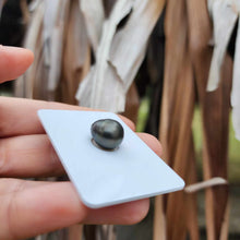 Load image into Gallery viewer, Civa Fiji Loose Saltwater Pearl - FJD$