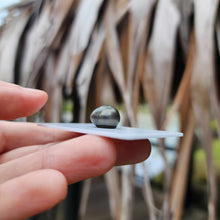 Load image into Gallery viewer, Civa Fiji Loose Saltwater Pearl - FJD$