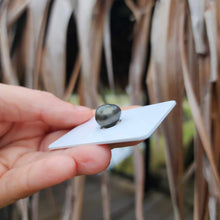 Load image into Gallery viewer, Civa Fiji Loose Saltwater Pearl - FJD$