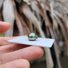 Load image into Gallery viewer, Civa Fiji Loose Saltwater Pearl - FJD$