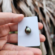 Load image into Gallery viewer, Civa Fiji Loose Saltwater Pearl - FJD$