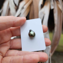 Load image into Gallery viewer, Civa Fiji Loose Saltwater Pearl - FJD$