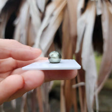 Load image into Gallery viewer, Civa Fiji Loose Saltwater Pearl - FJD$