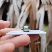 Load image into Gallery viewer, Civa Fiji Loose Saltwater Pearl - FJD$