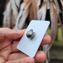 Load image into Gallery viewer, Civa Fiji Loose Saltwater Pearl - FJD$