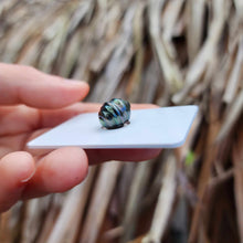 Load image into Gallery viewer, Civa Fiji Loose Saltwater Pearl - FJD$