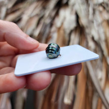 Load image into Gallery viewer, Civa Fiji Loose Saltwater Pearl - FJD$