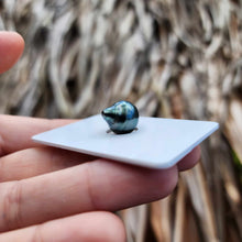 Load image into Gallery viewer, Civa Fiji Loose Saltwater Pearl - FJD$
