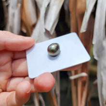 Load image into Gallery viewer, Civa Fiji Loose Saltwater Pearl - FJD$