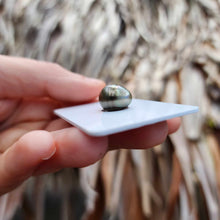 Load image into Gallery viewer, Civa Fiji Loose Saltwater Pearl - FJD$