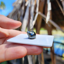 Load image into Gallery viewer, Civa Fiji Loose Saltwater Pearl - FJD$