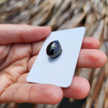 Load image into Gallery viewer, Civa Fiji Loose Saltwater Pearl - FJD$