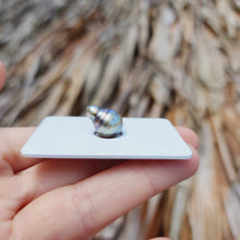 Load image into Gallery viewer, READY TO SHIP Bead Saltwater Pearl Bracelet in 14k Gold Fill - FJD$