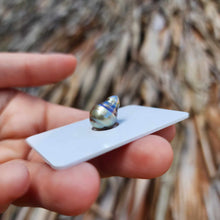 Load image into Gallery viewer, READY TO SHIP Bead Saltwater Pearl Bracelet in 14k Gold Fill - FJD$