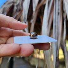 Load image into Gallery viewer, Civa Fiji Loose Saltwater Pearl - FJD$