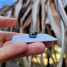 Load image into Gallery viewer, Civa Fiji Loose Saltwater Pearl - FJD$