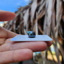 Load image into Gallery viewer, Civa Fiji Loose Saltwater Pearl - FJD$