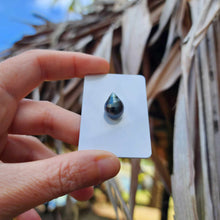 Load image into Gallery viewer, Civa Fiji Loose Saltwater Pearl - FJD$