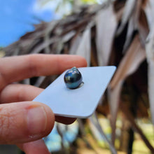 Load image into Gallery viewer, Civa Fiji Loose Saltwater Pearl - FJD$