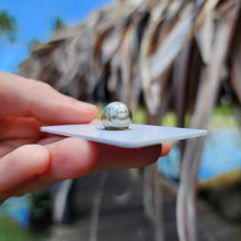 Load image into Gallery viewer, Civa Fiji Loose Saltwater Pearl - FJD$