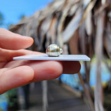 Load image into Gallery viewer, Civa Fiji Loose Saltwater Pearl - FJD$