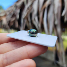 Load image into Gallery viewer, Civa Fiji Loose Saltwater Pearl - FJD$