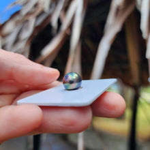 Load image into Gallery viewer, Civa Fiji Loose Saltwater Pearl - FJD$