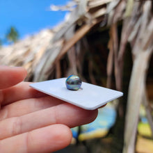 Load image into Gallery viewer, Civa Fiji Loose Saltwater Pearl - FJD$