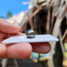 Load image into Gallery viewer, Civa Fiji Loose Saltwater Pearl - FJD$