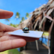 Load image into Gallery viewer, Civa Fiji Loose Saltwater Pearl - FJD$