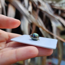 Load image into Gallery viewer, Civa Fiji Loose Saltwater Pearl - FJD$