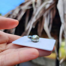 Load image into Gallery viewer, READY TO SHIP Civa Fiji Saltwater Pearl Necklace - 14k Gold Fill FJD$