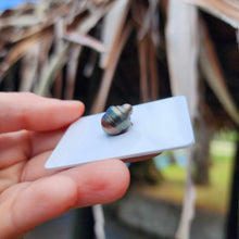 Load image into Gallery viewer, Civa Fiji Loose Saltwater Pearl - FJD$