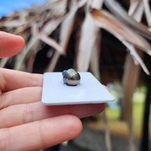 Load image into Gallery viewer, Civa Fiji Loose Saltwater Pearl - FJD$