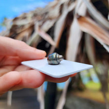 Load image into Gallery viewer, Civa Fiji Loose Saltwater Pearl - FJD$