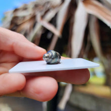 Load image into Gallery viewer, Civa Fiji Loose Saltwater Pearl - FJD$