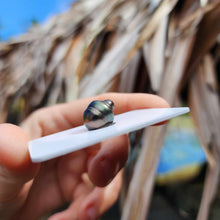 Load image into Gallery viewer, Civa Fiji Loose Saltwater Pearl - FJD$