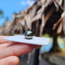 Load image into Gallery viewer, Civa Fiji Loose Saltwater Pearl - FJD$