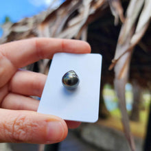 Load image into Gallery viewer, Civa Fiji Loose Saltwater Pearl - FJD$