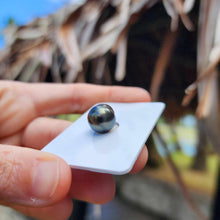 Load image into Gallery viewer, Civa Fiji Loose Saltwater Pearl - FJD$