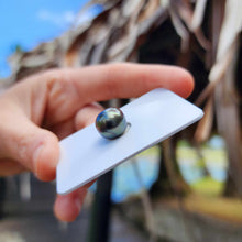 Load image into Gallery viewer, Civa Fiji Loose Saltwater Pearl - FJD$